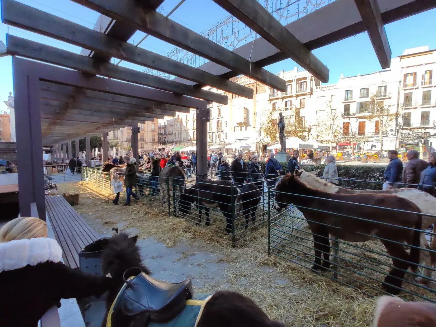 La Cambra de Valls fa un balanç positiu del Mercat de Nadal