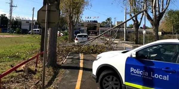 L'episodi de fort vent obliga a tallar el vial que connecta la Via Augusta amb la rotonda del Puntet per la caiguda d’un arbre