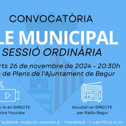 Ple municipal ordinari de l'Ajuntament de Begur. 26 de novembre de 2024 - episode art