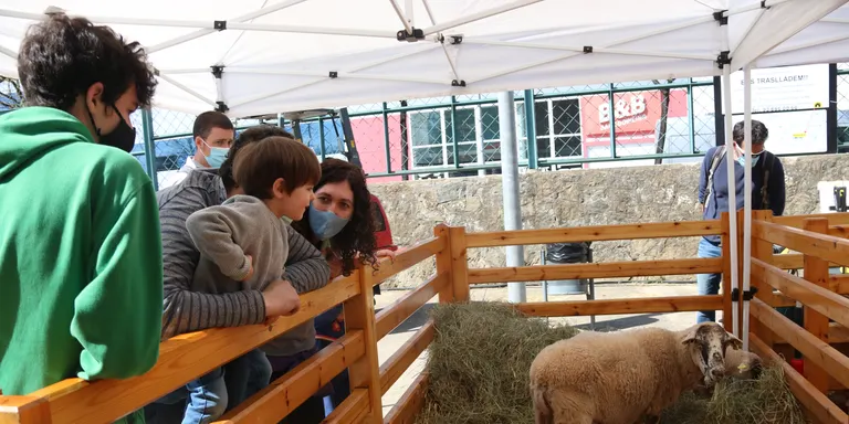 Vic recuperarà l'esplendor ramadera prepandèmia pel Mercat del Ram