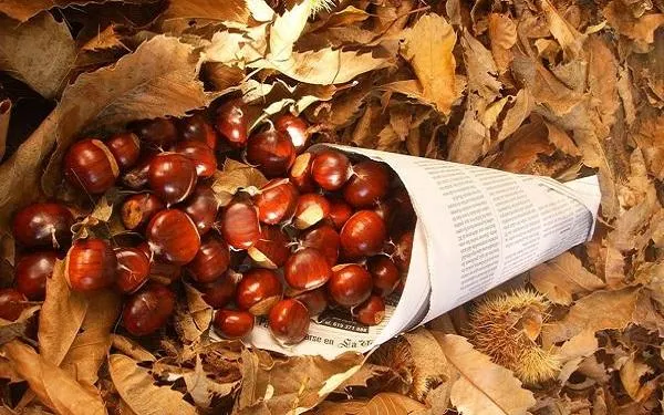 Els actes més arrelats de la Castanyada i les noves tradicions de Halloween conviuen a Torredembarra