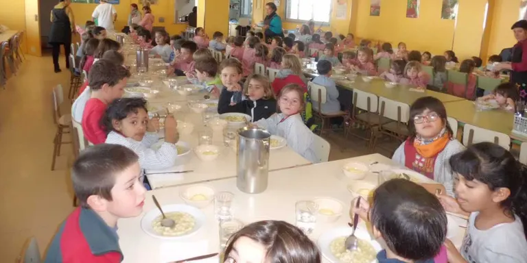 El Consell Comarcal de l'Urgell atorga 307 beques de menjador social