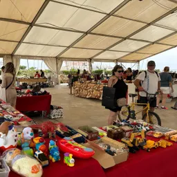 #530 - 6è Mercat d'intercanvi i segona mà de Torredembarra - episode art