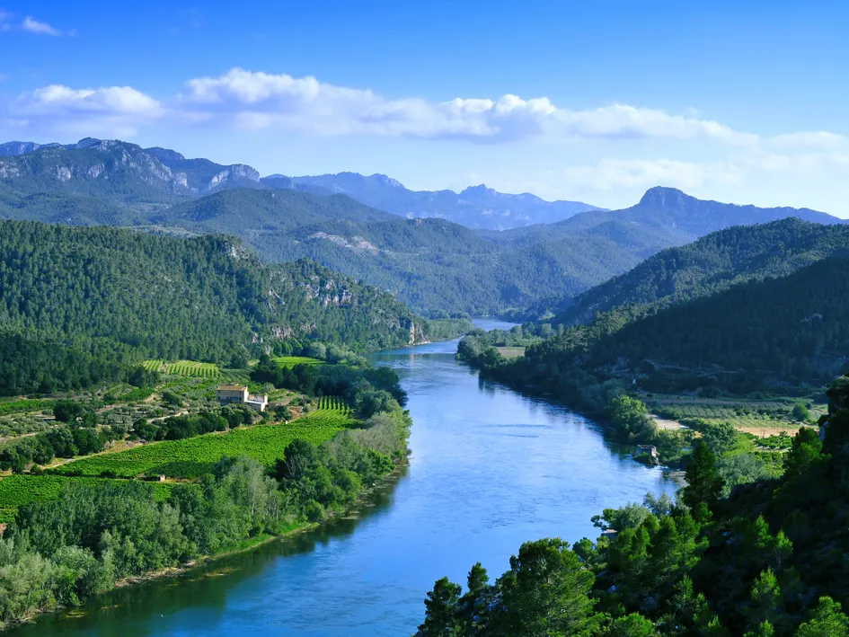 El CTFC lidera un consorci internacional per combatre les creixents amenaces del canvi climàtic al Mediterrani
