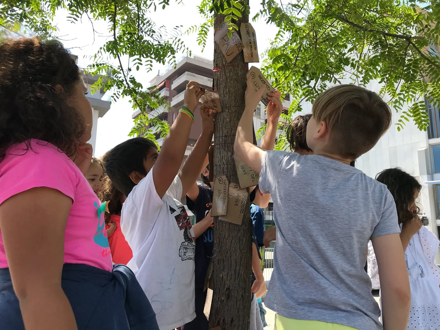 Els centres educatius han portat a terme aquest curs el projecte col·laboratiu “Els nostres arbres”