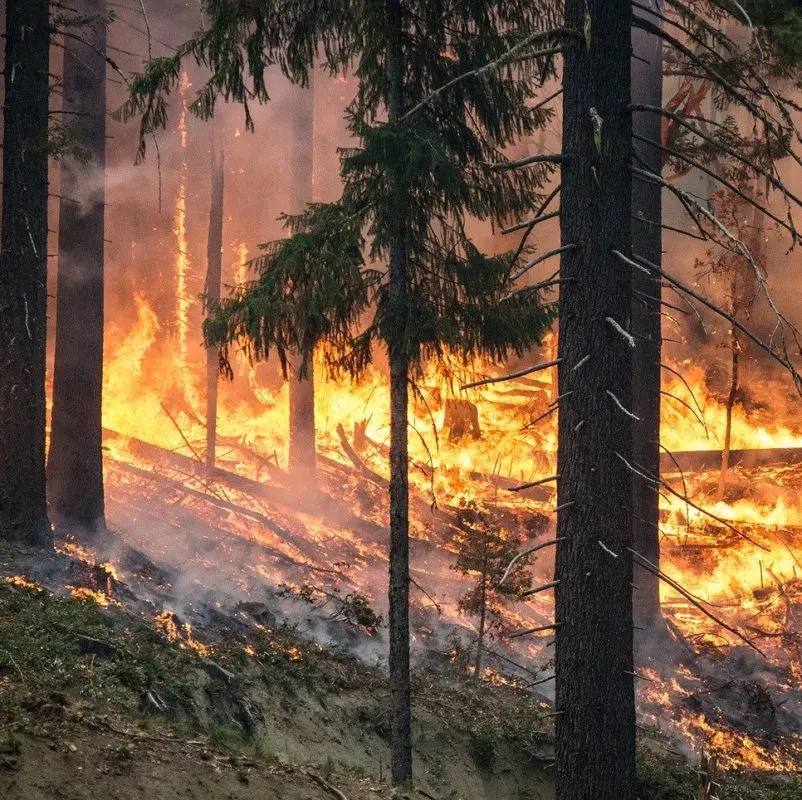 El coneixement desenvolupat els últims anys sobre patrons de propagació d'incendi és clau per facilitar l'extinció de grans incendis forestals
