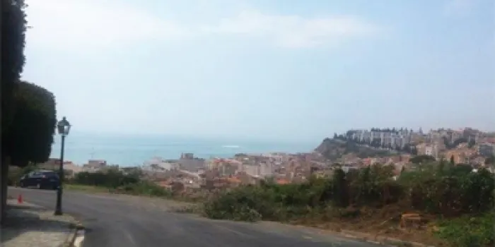 L’Ajuntament treu els pins a la zona del Mirador del Mal Temps