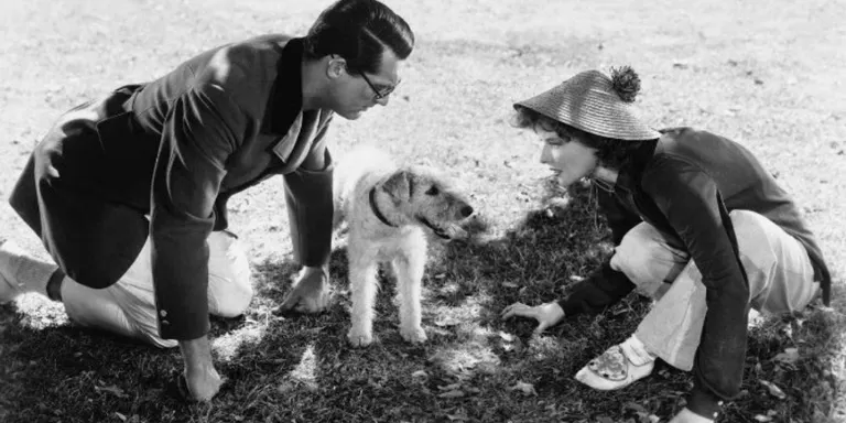 “La fiera de mi niña”, propera cita del cicle dedicat a Katharine Hepburn