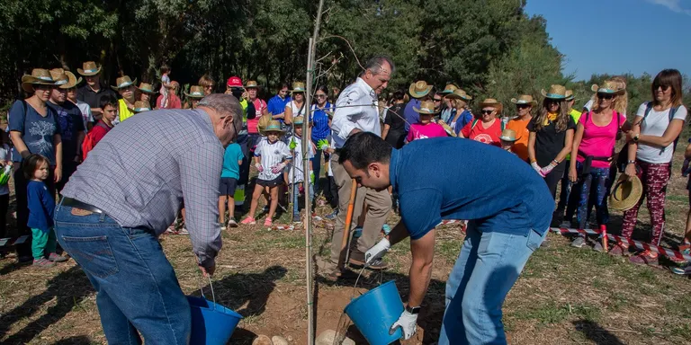 El Morell i l'Associació Aurora organitzen la segona plantada popular