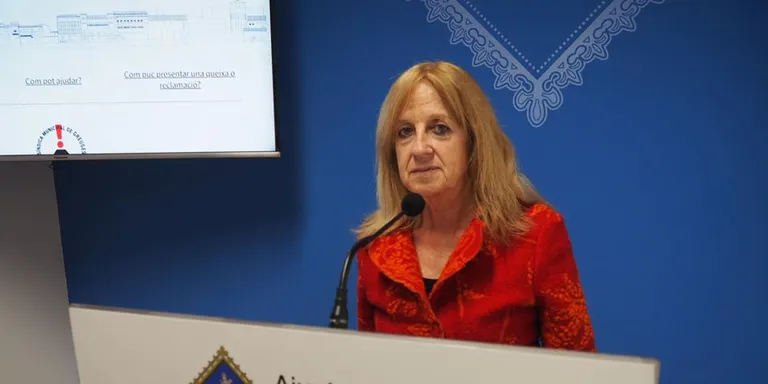 Més actuacions de la síndica municipal de greuges de la Seu d’Urgell durant el 2019