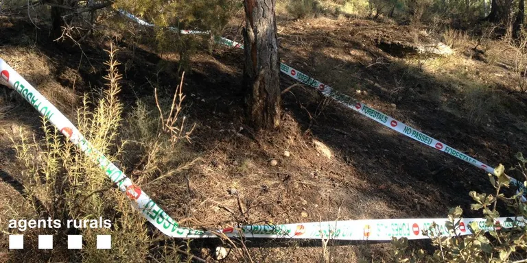 Un llamp causa un petit incendi al municipi de Bassella