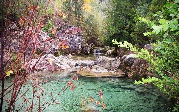 Foto: Hort de la Sínia