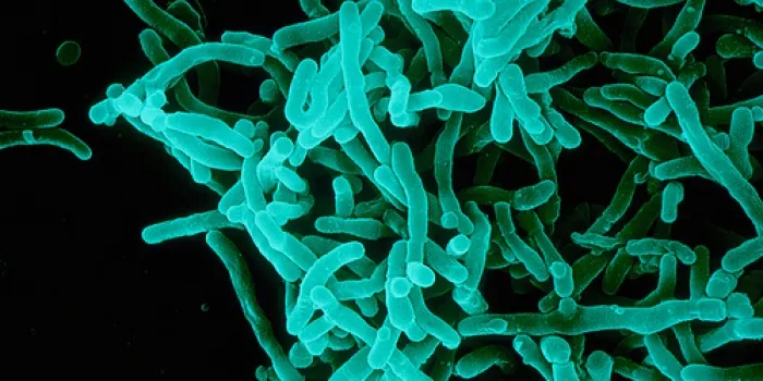 Els metges alerten contra la propaganda antivacunació