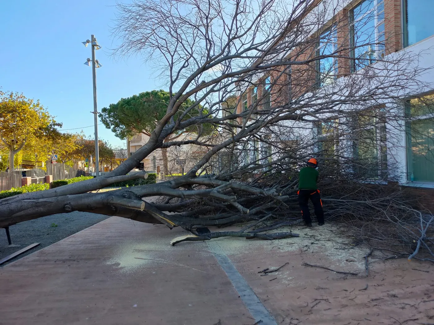 Normalitat i cap incidència de moment pel temporal de vent