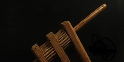 El Grup Sardanista Estol celebra un quart de segle