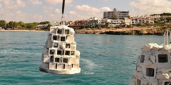 Altafulla no instal·larà nous biòtops a la seva platja aquest estiu