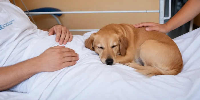 L’Hospital Universitari de Mataró facilita als pacients en situació de final de vida acomiadar-se de les seves mascotes