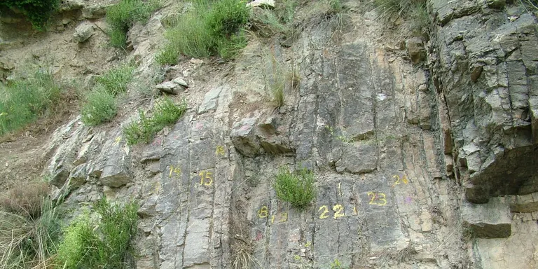 La Seu d'Urgell, lloc de trobada d'experts mundials en geologia