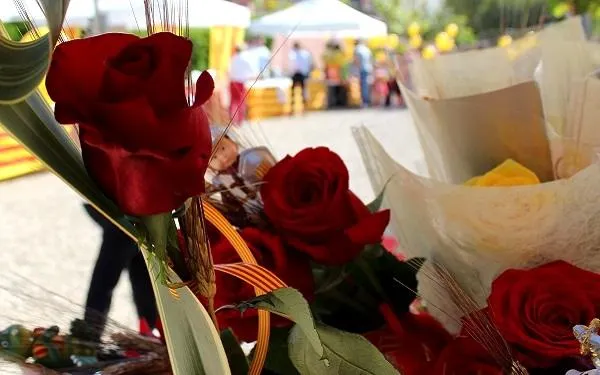 Foto: Altafulla Ràdio