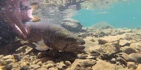 Agricultura i pescadors aposten per una pesca sostenible en les zones intensives