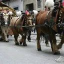 Especial Tres Tombs Calafell 2015