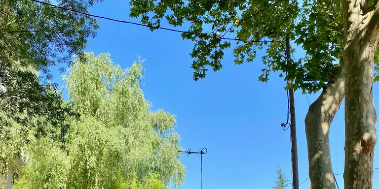Solsona arranjarà aquest estiu els camins de Cal Sotaterra i el que uneix els ponts de Cal Boté i la Xelsa