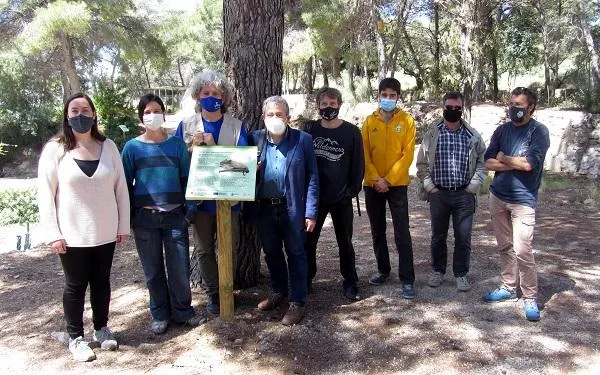 Foto: Ajuntament d'Altafulla