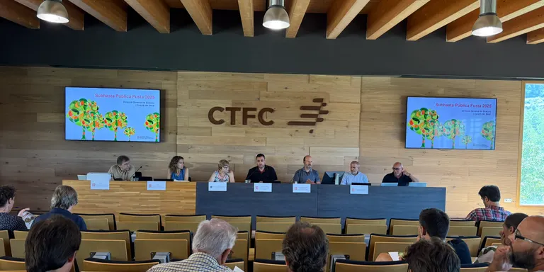 Solsona acull la subhasta de més de 15.000 tones de fusta dels boscos públics de Catalunya