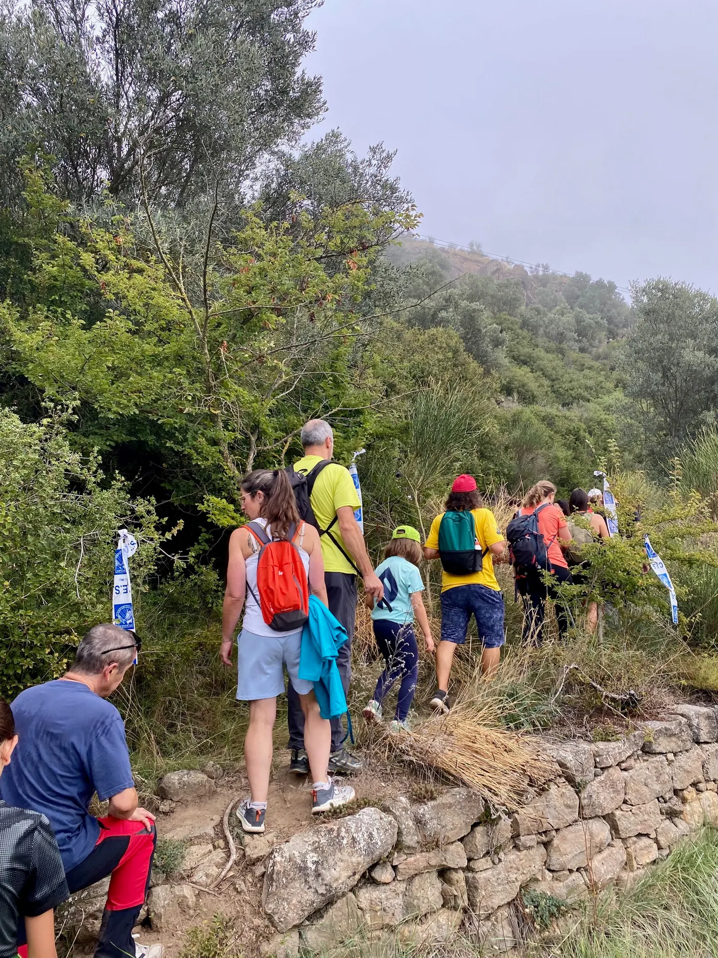 La Caminada popular de la Festa Major convida a descobrir paisatges i camins del Vinyet, aquest diumenge