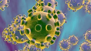 ESPECIAL CORONAVIRUS: Dijous 19 de març (migdia)