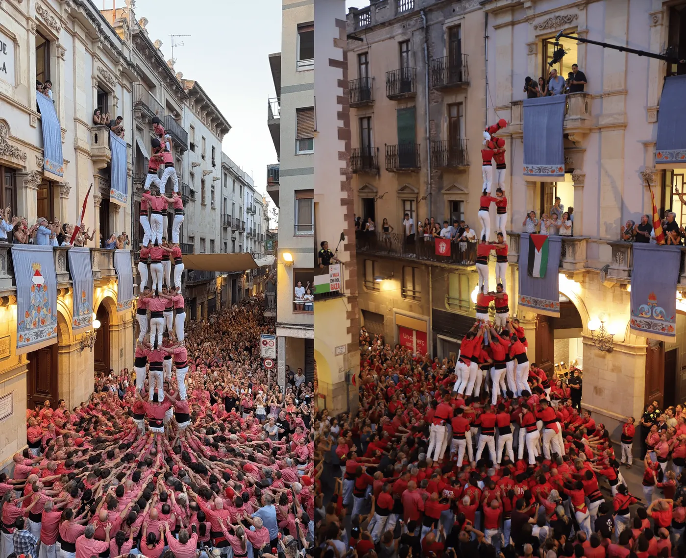 Quatre gammes extres a la diada de la Firagost