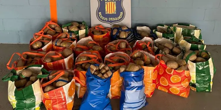 Detenen un conductor que circulava amb gairebé 400 quilograms d'haixix a Rubí