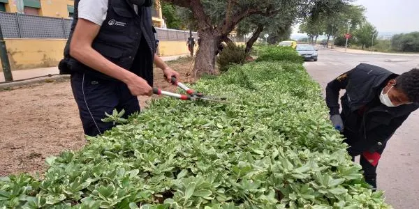 El PTT de Jardineria d'Altafulla comença a arranjar espais públics de la vila