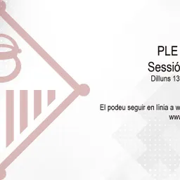 Ple extraordinari 13 de maig 2024 del 13/5/2024 - episode art