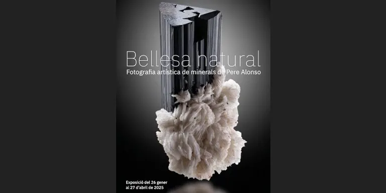 Els Museus d'Arenys inauguren 'Bellesa Natural' aquest diumenge