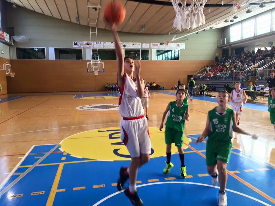 Torneig Mini 2015 de la Seu
