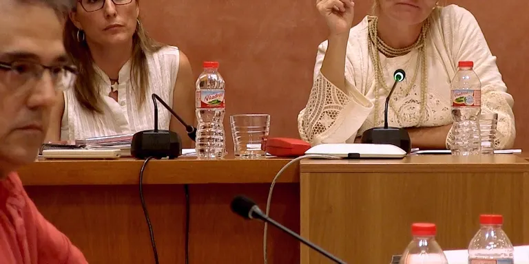 El vot de qualitat de l’alcaldessa posiciona el ple contra el procés independentista
