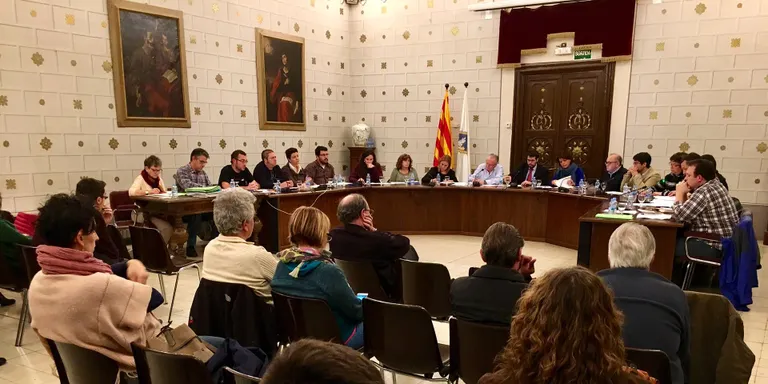 Aprovada a la Seu una moció de suport al regidor Joan Coma