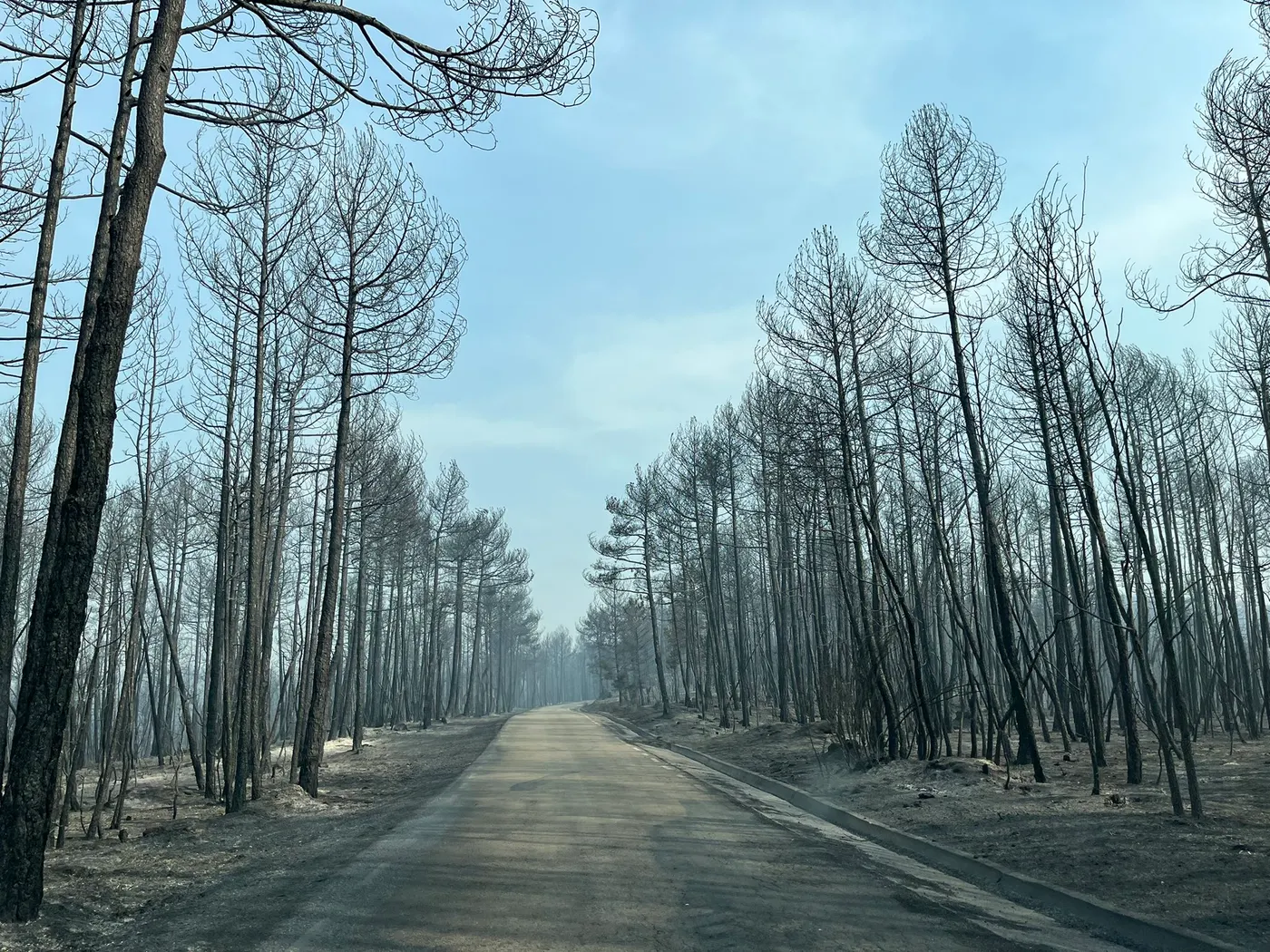 <strong>L'Escola Agrària del Solsonès organitza una jornada de mesures de prevenció i autoprotecció d'incendis forestals a nivell de finca</strong>
