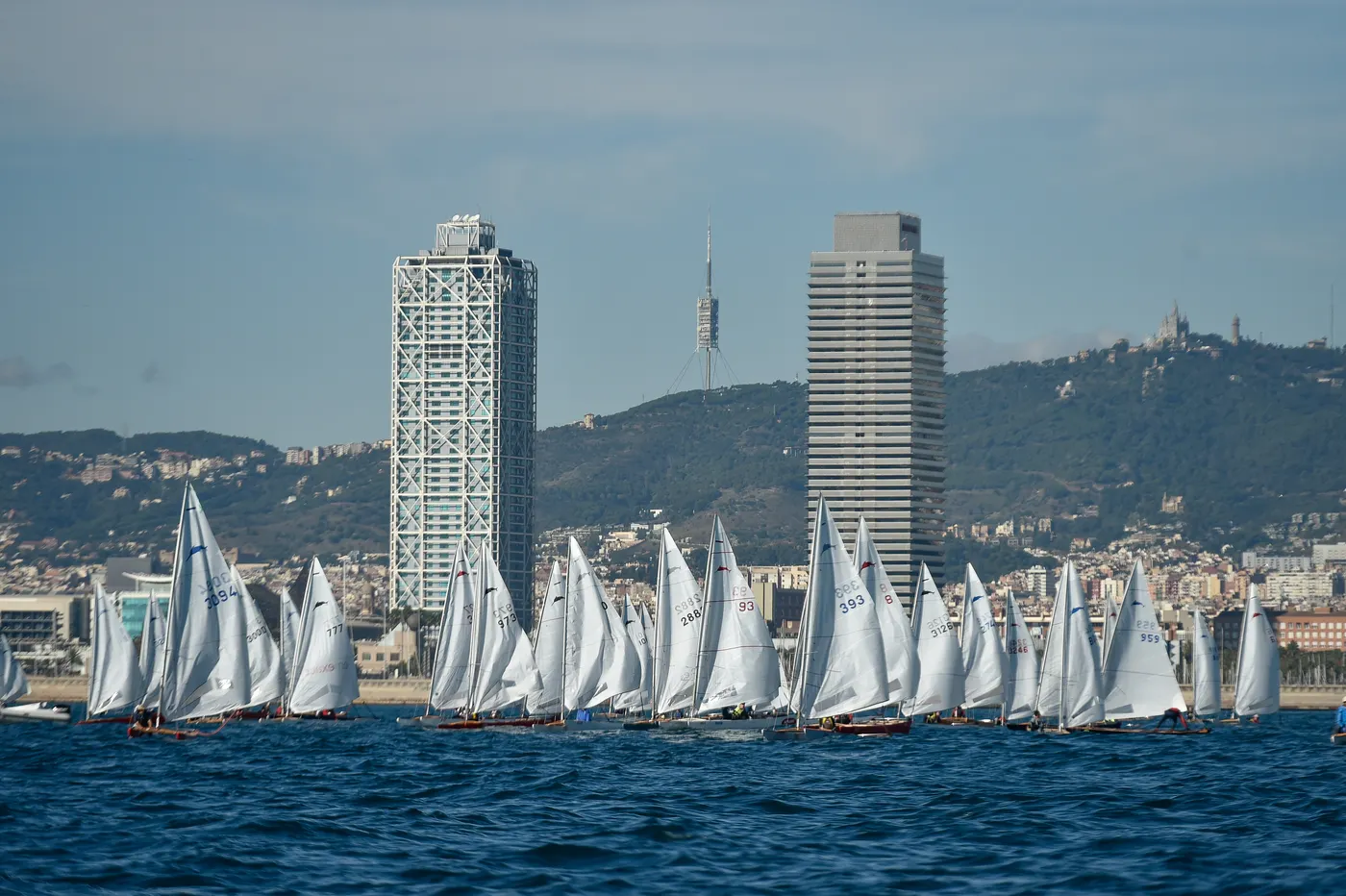 Un centenar de persones participen de la Copa d’Europa de Patí de Vela a Barcelona