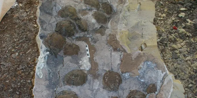 Projecte 'Terra de Dinosaures' a l'Alt Urgell i el Pallars Jussà