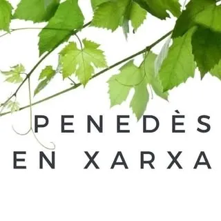 Territori Penedès