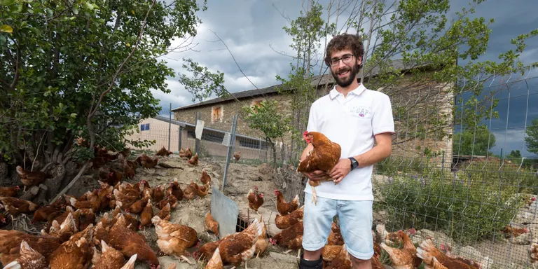 Explotacions agrícoles i ramaderes de Cerdanya organitzen visites guiades a l'agost