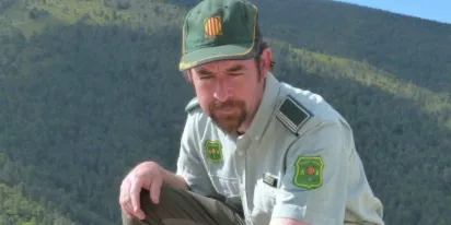 Capturada una femella de gall fer al mig d'una població del Pallars Jussà