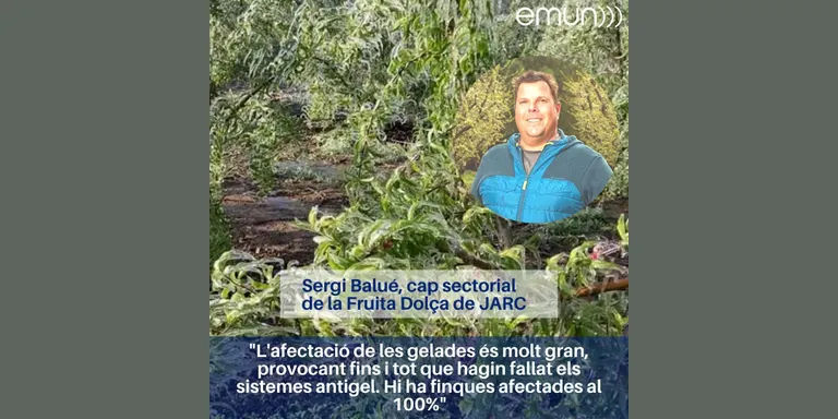 Gelada històrica per la intensitat, l’extensió afectada i la durada de 6-7 hores sota zero