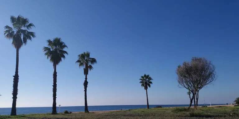 Les obres del Passeig Marítim a Poblenou a punt per començar, a l'espera del permís definitiu de l'Estat