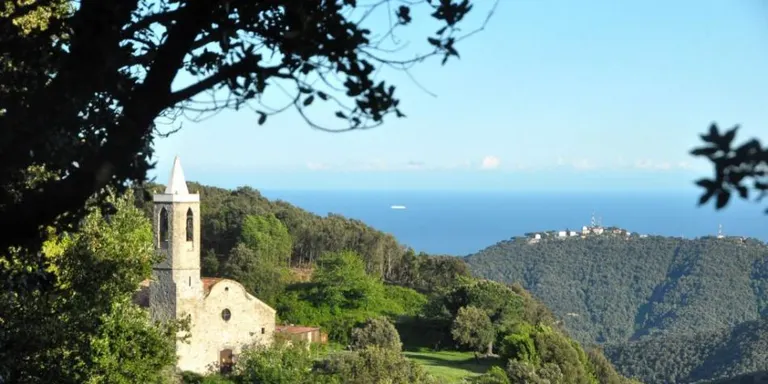 L'Escola d'Hortsavinyà presentarà durant l'Aplec de l'Erola una App per conèixer els arbres del Montnegre