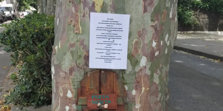 Arriba el Ratolí Pérez, de la mà de La Caseta de l’Arbre
