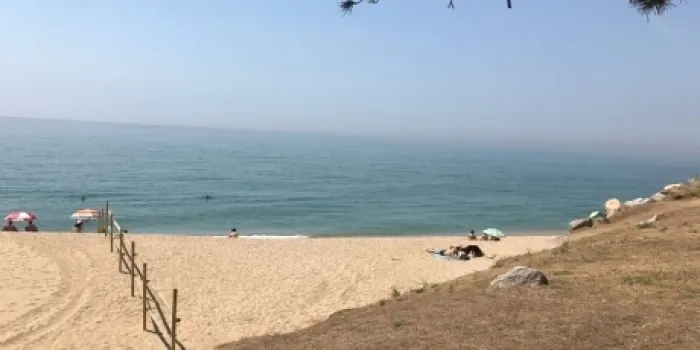 La platja de gossos ha tingut molt bona acollida per part dels arenyencs