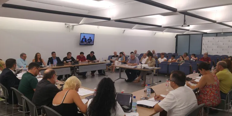 El ple de Pineda aprova per unanimitat una moció contra les màfies que ocupen pisos